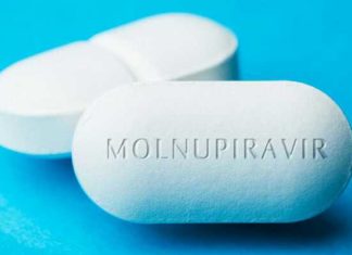 Gobierno autoriza comercialización Molnupiravir para tratamiento de COVID -19 molnupiravir-medicamento-covid