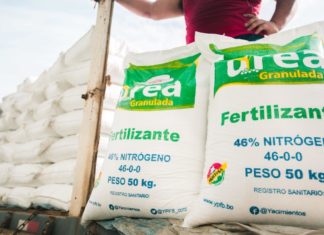Planta de urea proyecta producir 600.000 toneladas de fertilizante planta-de-urea-fertilizante
