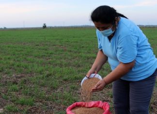 Empresas manufactureras, ganaderas y agrícolas acceden a 6.579 créditos SIBOLIVIA acceden-si-bolivia-