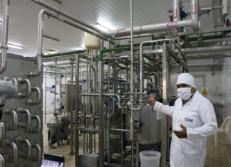 Planta de lácteos de Challapata ampliará su capacidad a 20.000 litros por día planta-lacteos-