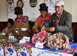 Cantón Franz Tamayo prepara ferias dominicales de producción agropecuaria orgánica canton-franz-tamayo-feria