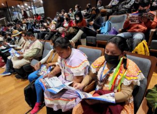 Entregan cinco nuevos currículos regionalizados para pueblos y naciones indígenas ministerio-de-educacion-pueblos-indigenas