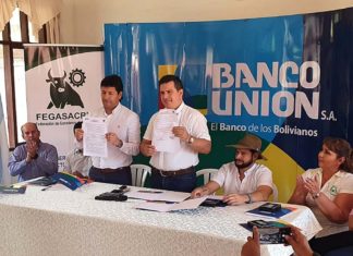 “Pyme Ganadero” de Banco Unión beneficiará a más de 33 mil asociados de Fegasacruz banco-union-pyme-ganadero