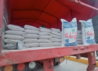 Habilitan hidrovía Ichilo Mamoré para exportar e importar productos hasta el Atlántico exportacion-via-ichilo