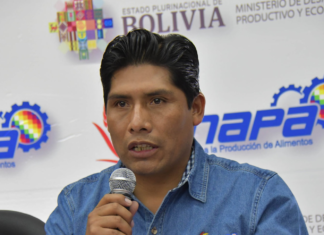 Emapa prevé distribuir alrededor de 100 mil toneladas de maíz flores-emapa-distribucion-