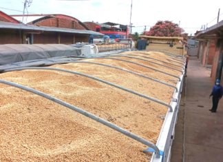 Aduana incauta 184 toneladas de soya mezclada con semillas y residuos de bolsa aduana-incautacion-soja-
