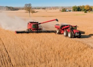 Índice de Precios Productor registra aumento de 1,35% agro-Santa-Cruz