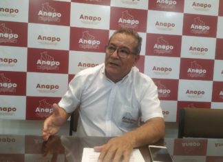 Flores: La CPEP no permite uso de semillas genéticamente mejoradas flores-anapol-