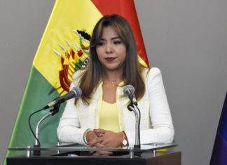 Alcón: se ultiman detalles para actualización cartográfica estadística de manera masiva politica-bolivia-alcon