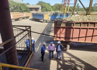 Productores del Brasil califican a Guabirá como referente sudamericano productores-guabira-azucar