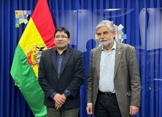 Bolivia y Argentina profundizan cooperación en materia de litio franklin-molina-bolivia-argentina