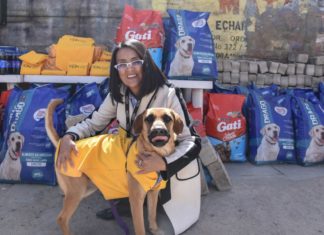 CBN donó más de 53 mil ítems para beneficiar a siete albergues de perros y gatos en La Paz CBN