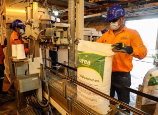 Planta de Urea produce 2.105 toneladas en un día UREA