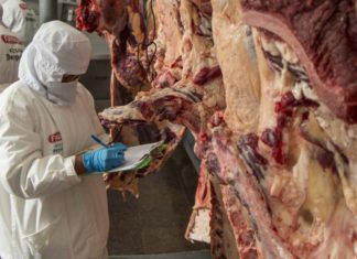 Bolivia exportó $us 1.190 millones a la CAN en el primer semestre de 2022 carne-res-can-