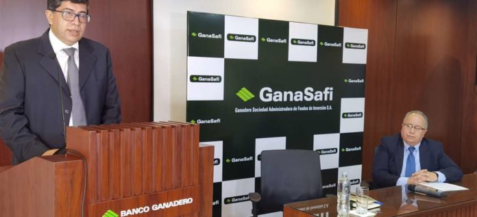 gana-safi-ganadero-