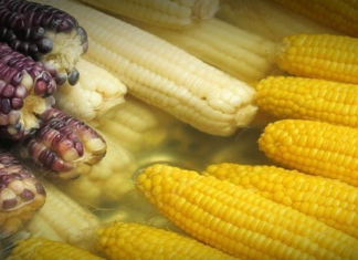 Incautan más de 620 toneladas de soya y maíz transgénicos en un megaoperativo aduanero maiz-transgenico