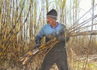 YPFB asegura provisión de 1,8 MMpcd de gas en arranque de la zafra cañera en Bermejo ypfb-arranque-zafra-