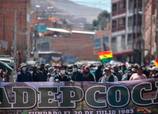 Richter: Acciones violentas de Adepcoca buscan desestabilizar al Gobierno Nacional ADEPCOCA