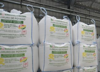 YLB: Bolivia alcanza más de Bs 287 millones por ventas de potasio y litio CLORURO