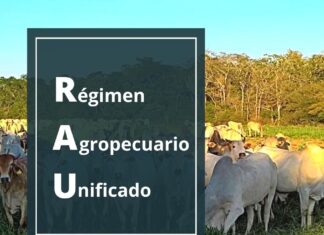 Impuestos Nacionales actualiza valores del Régimen Agropecuario Unificado (RAU) RAU-Regimen-Agropecuario-Unificado