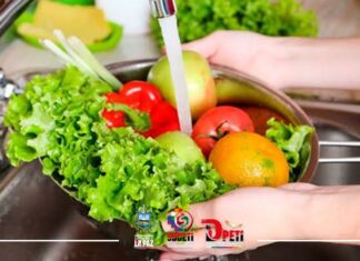 Preparan taller capacitación “Toxicidad de aditivos y contaminantes presentes en los alimentos” TALLER