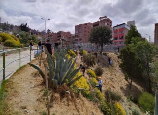 Ecolimpieza: Munaypata luce una nueva cara ecofuturo-limpieza-