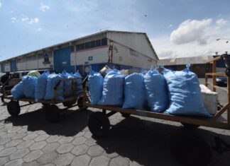 Diez mil marraquetas partieron vía aérea a la Exprocruz marraquetas-expocruz