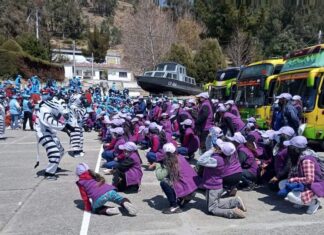 Voluntario Fest “Encébrate” impulsará alianzas con organizaciones en beneficio de los jóvenes zebras-la-paz-