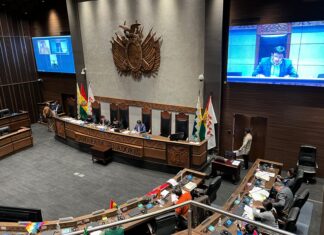 Senado sanciona cinco proyectos de ley sobre contratos petroleros SENADO_HIDROCARBUROS