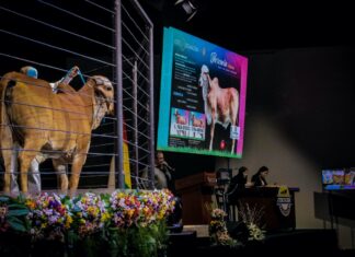BNB participó de los remates de ganado bovino en Expocruz bnb-remates-