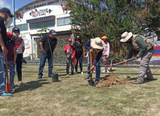 ECOFUTURO REMOZA EL DISTRITO 5 DE COCHABAMBA CON 100 NUEVOS ÁRBOLES ecofuturo-jardin