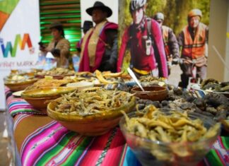 Invitan a participar de la XVII Feria del Pescado en Huatajata festival-del-pescado-