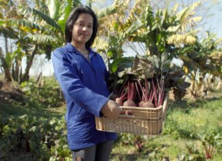 22 proyectos de salud y alimentación elegidos en el programa Legado by Bayer BAYER