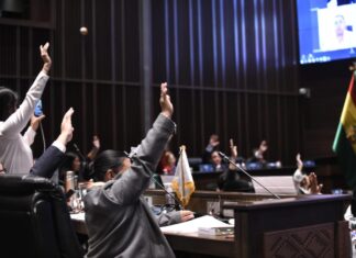 Cámara de Senadores sanciona proyecto de Ley de aplicación de los resultados del Censo VOTACION-SENADO-