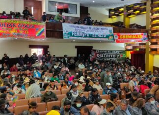 Asamblea de la Alteñidad respalda fecha del Censo e invita al Presidente a una reunión asamblea-alteñidad-