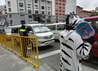 Colocarán más vallas para evitar embarque de pasajeros en paradas no autorizadas colocan-vallas-