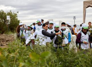 Más de 2 mil voluntarios revitalizan el Parque Nacional Tunari parque-tunari-cbn-