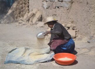 Más de 800 pueblos indígenas de América Latina viven en una mayor precariedad precariedad-laboral-