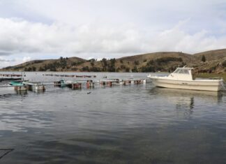 Arce inició el 2023 con la construcción de moderna planta piscícola en el lago Titicaca PISCICOLA2