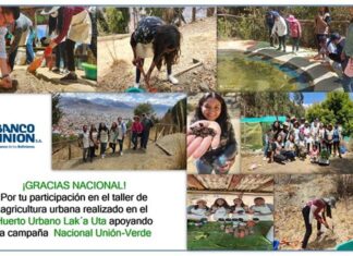 Banco Unión promueve acciones en beneficio del medio ambiente banco-union-