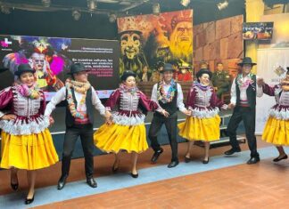 INTI alienta la campaña de concientización “Sin máscaras, sin violencia” campaña_car_naval-