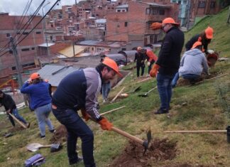 Ecofuturo impulsó la “ecolimpieza y forestación” del parque Alcoreza en La Paz ECOFUTURO