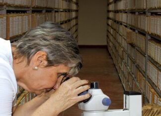 Litoteca de YPFB resguarda más de 200 mil piezas de colecciones científico-patrimoniales YPFB_Litoteca_2023