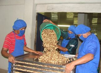 Gobierno implementa moderna planta de almendra en Riberalta para generar empleo almendra-riberalta-