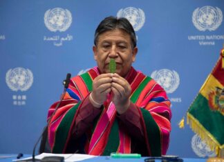 Bolivia activa gestiones para retiro de la coca de la lista de estupefacientes hoja_de_coca_