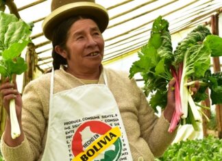 Arce promulga ley que apunta a fortalecer el rol de la mujer en la producción mujer_produccion_