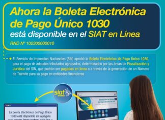 El SIN aprueba la Boleta Electrónica de Pago Único 1030 sin-boleta-acuerdos-