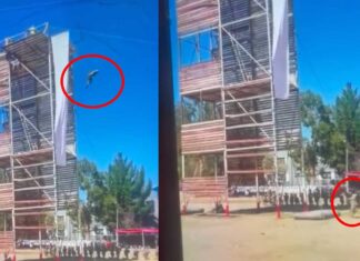 Arce anuncia sanciones sin ningún tipo de privilegio a responsables del accidente de los cadetes accidente-cadetes-