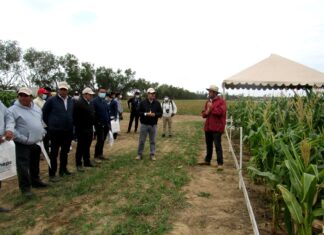 ANAPO reafirma su compromiso de avanzar en la agenda productiva ANAPO