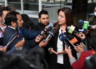 Alcón lamenta que diputados rechacen proyecto de imprescriptibilidad de delitos de sexuales ALCON